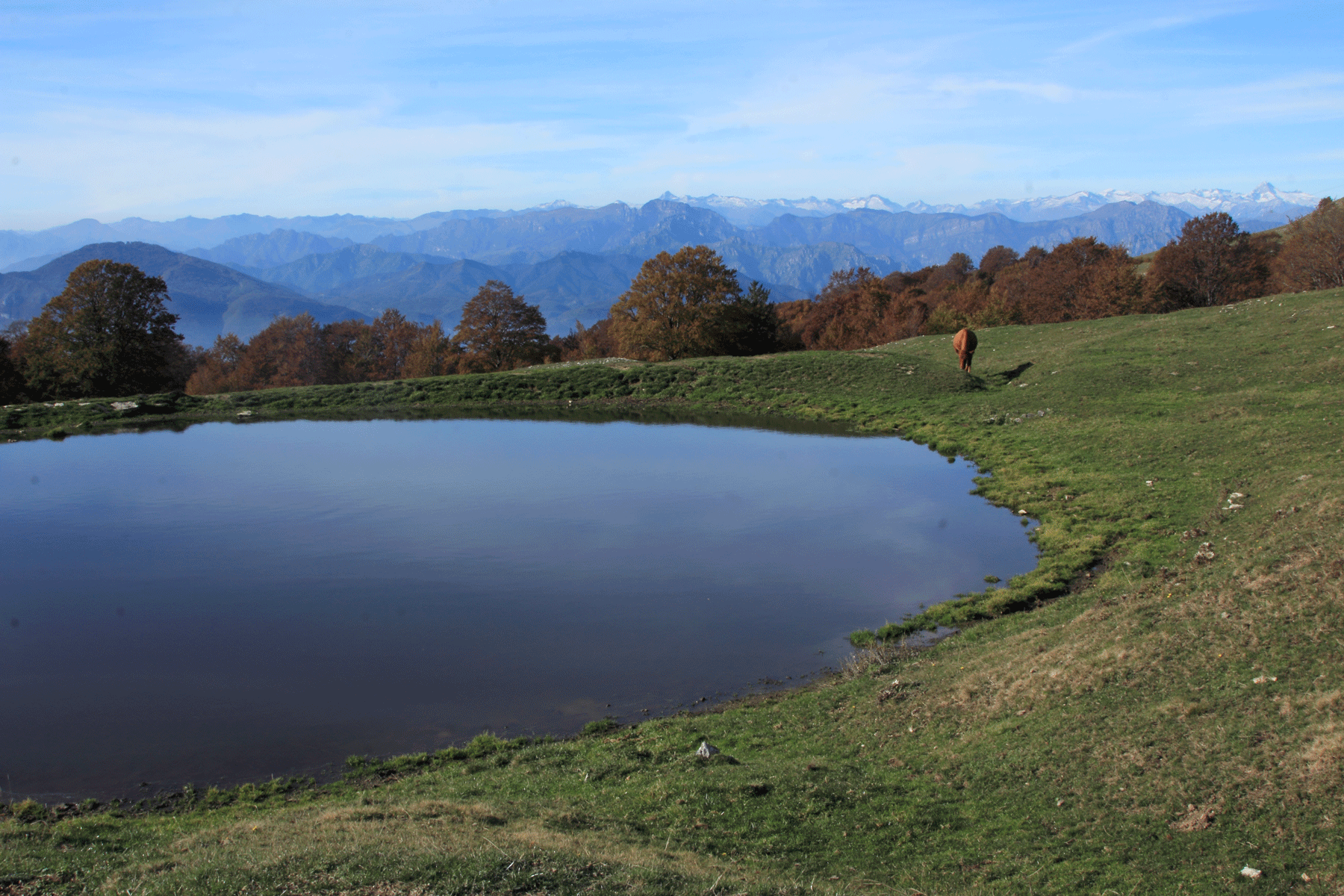 acqua.png