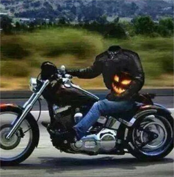 florida-rider.jpg