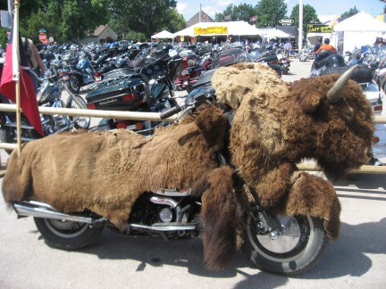 bisonte_harley.jpg