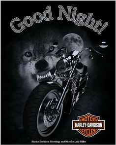 17c6c1c04202884b0f079fc35c114092--good-night-harley-davidson 1.jpg