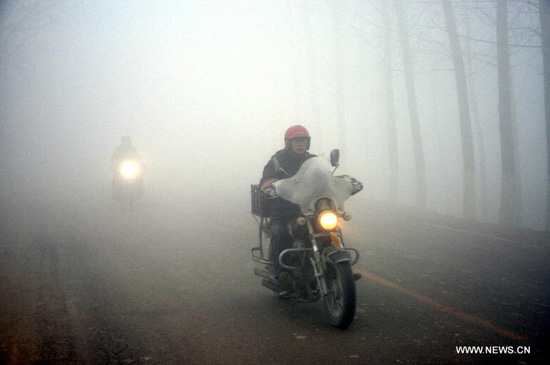 fog.jpg