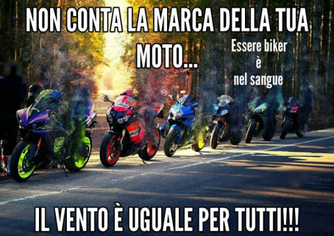 mkl1ofbm8t-buongiorno-bikers-vaccata_a.jpg