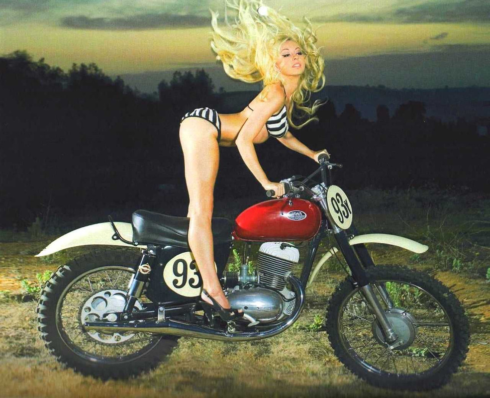 grlbike88.jpg