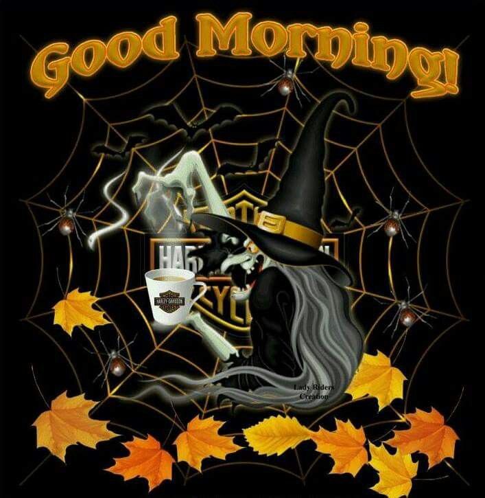 550f2bb3c6d3a9bacc0e1de6806fe49b.jpg