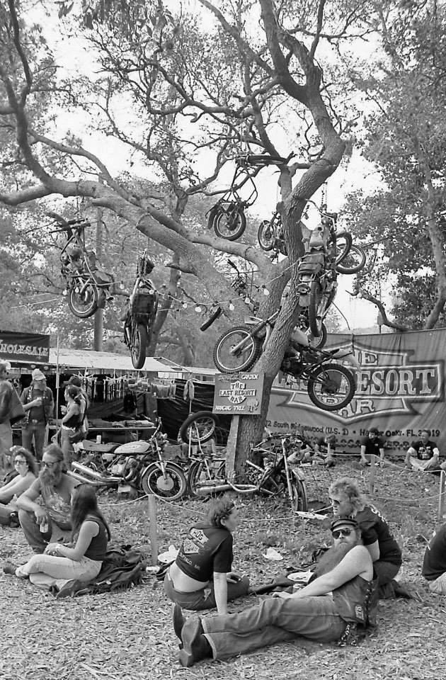 pulsating-paula-1970s-1980s-harley-motorcycles-in-trees.jpg