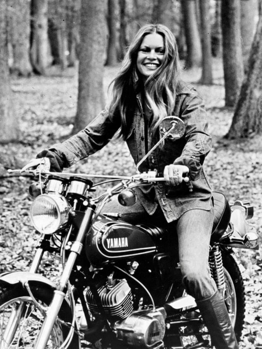 Brigitte Bardot.jpg