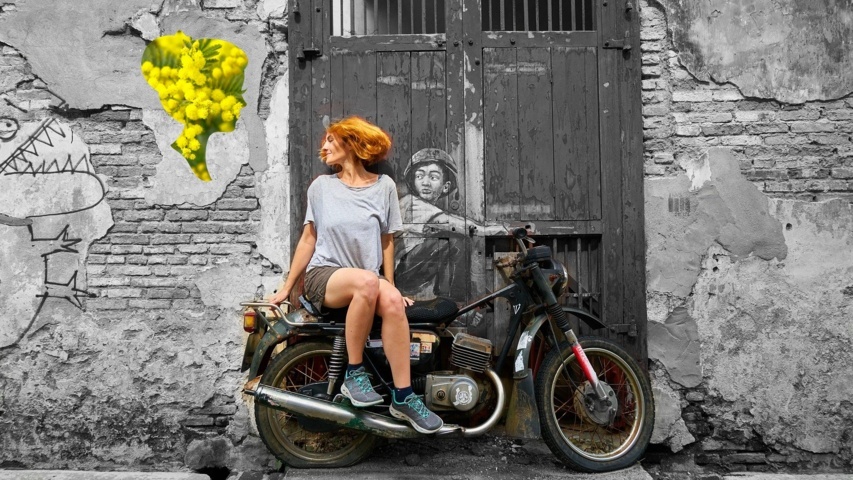 mimosa_motorcycles-3045706_1920_ritagliata_colore-FILE.jpg
