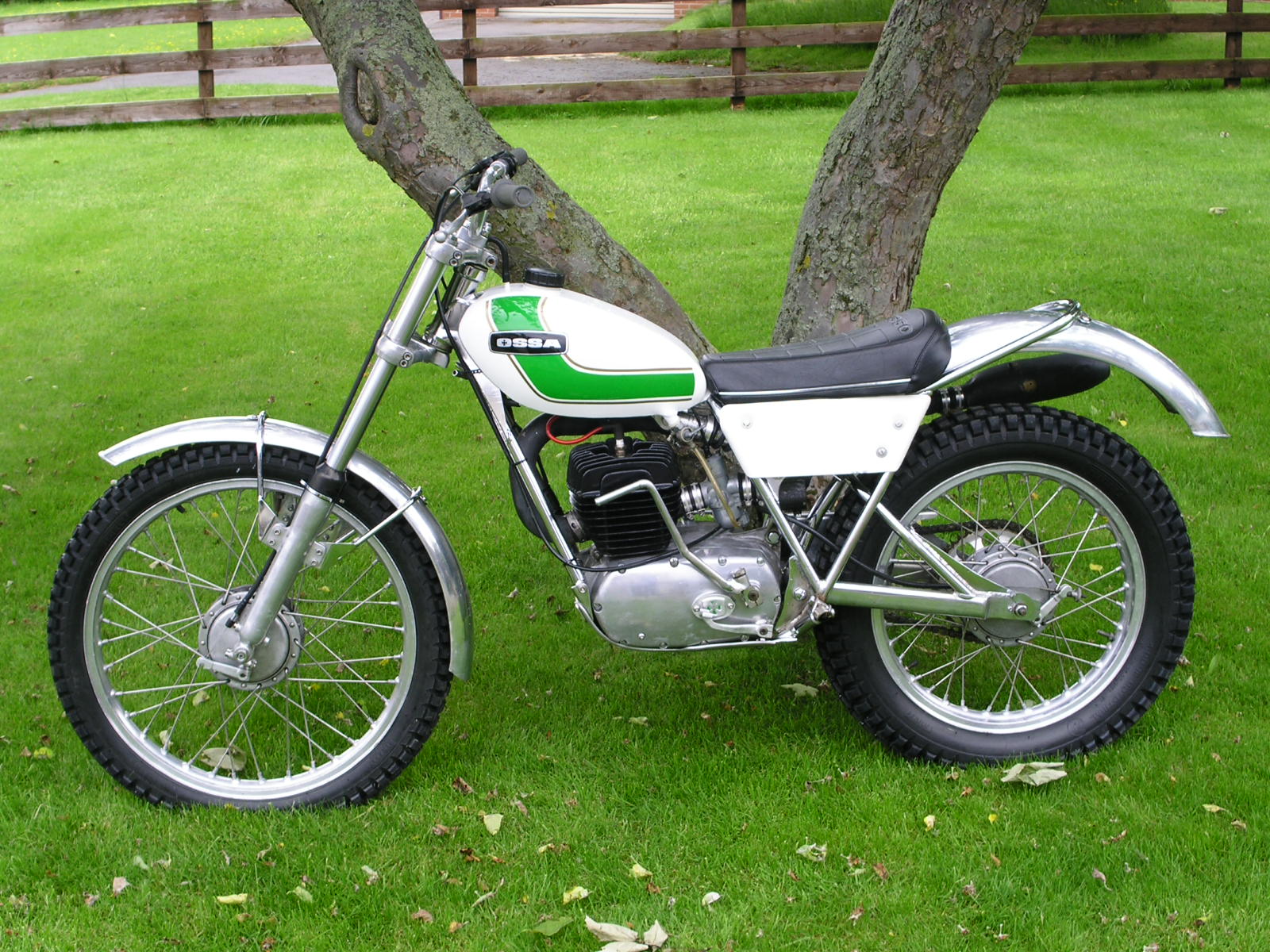 Ossa_DR_6.JPG