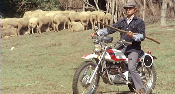 terence hill.jpg