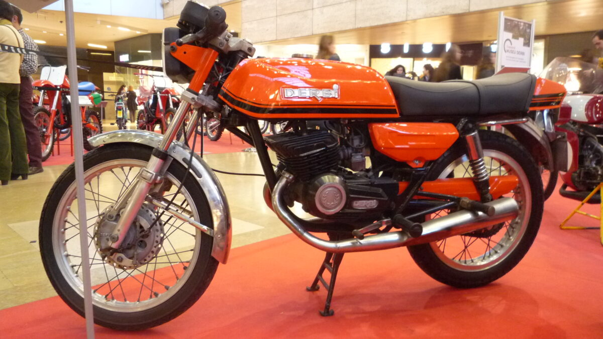 1976-Derbi-2002-GP-.jpg