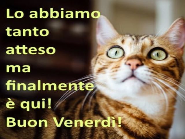 foto-buona-giornata.jpg