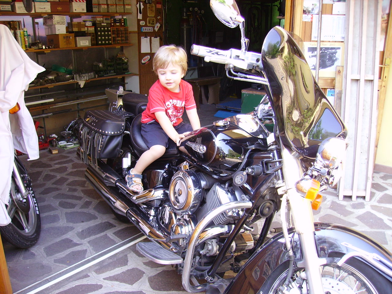 IMGP0954.JPG