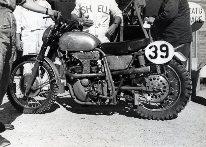 1960 Aermacchi 500 Motocross  Bialbero.jpg