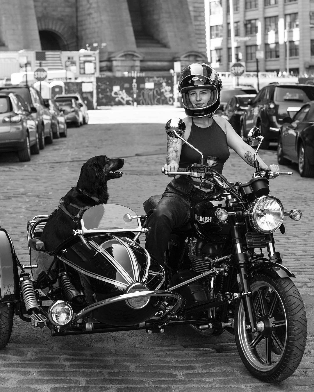 sidecar e amico animale.jpg