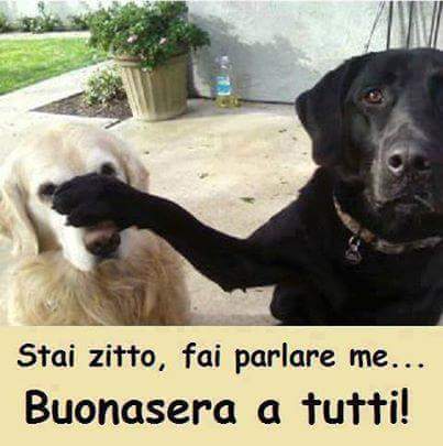 FB_IMG_1507896885911.jpg