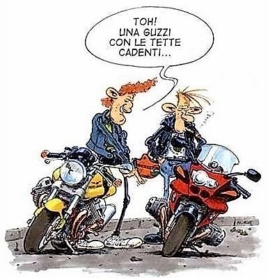 guzzi.jpg