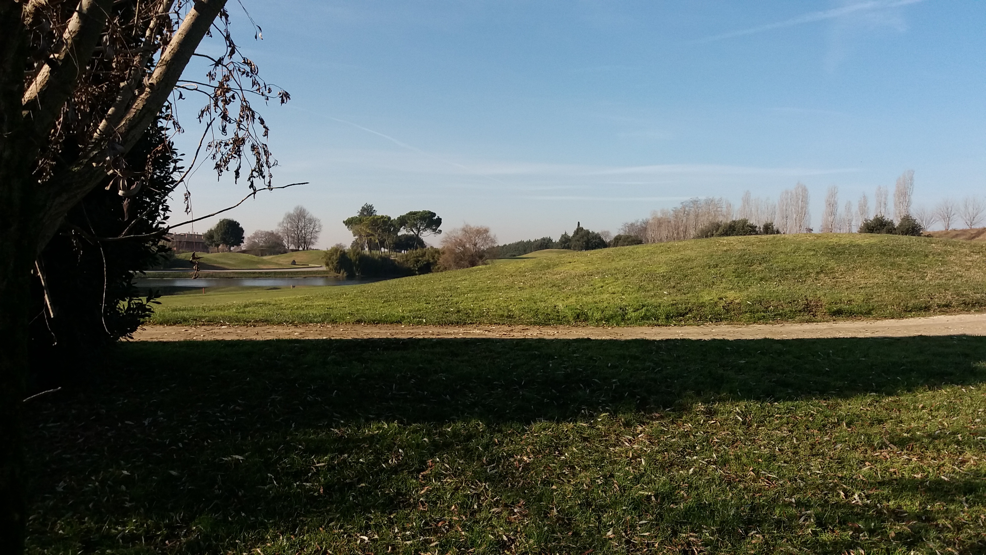20181231_121904.jpg