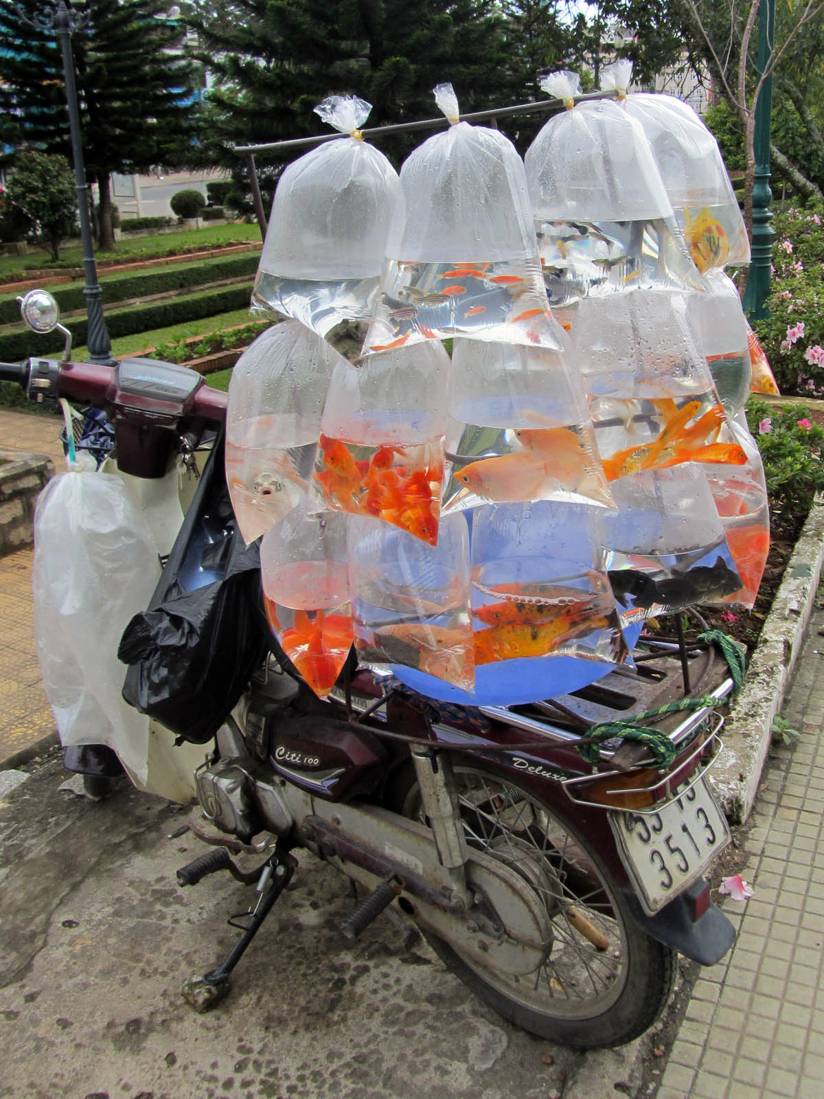 fish-vendor-dalat.jpg