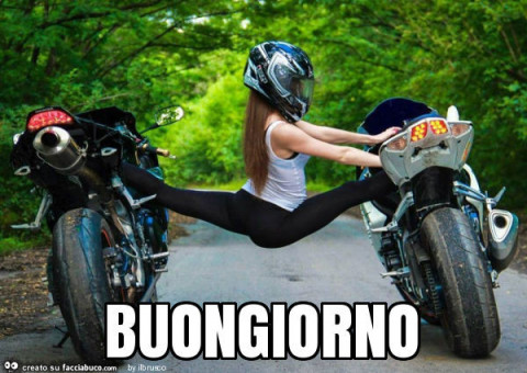 9173322551-buongiorno-buongiorno-bikers-e-non-vaccata_a.jpg