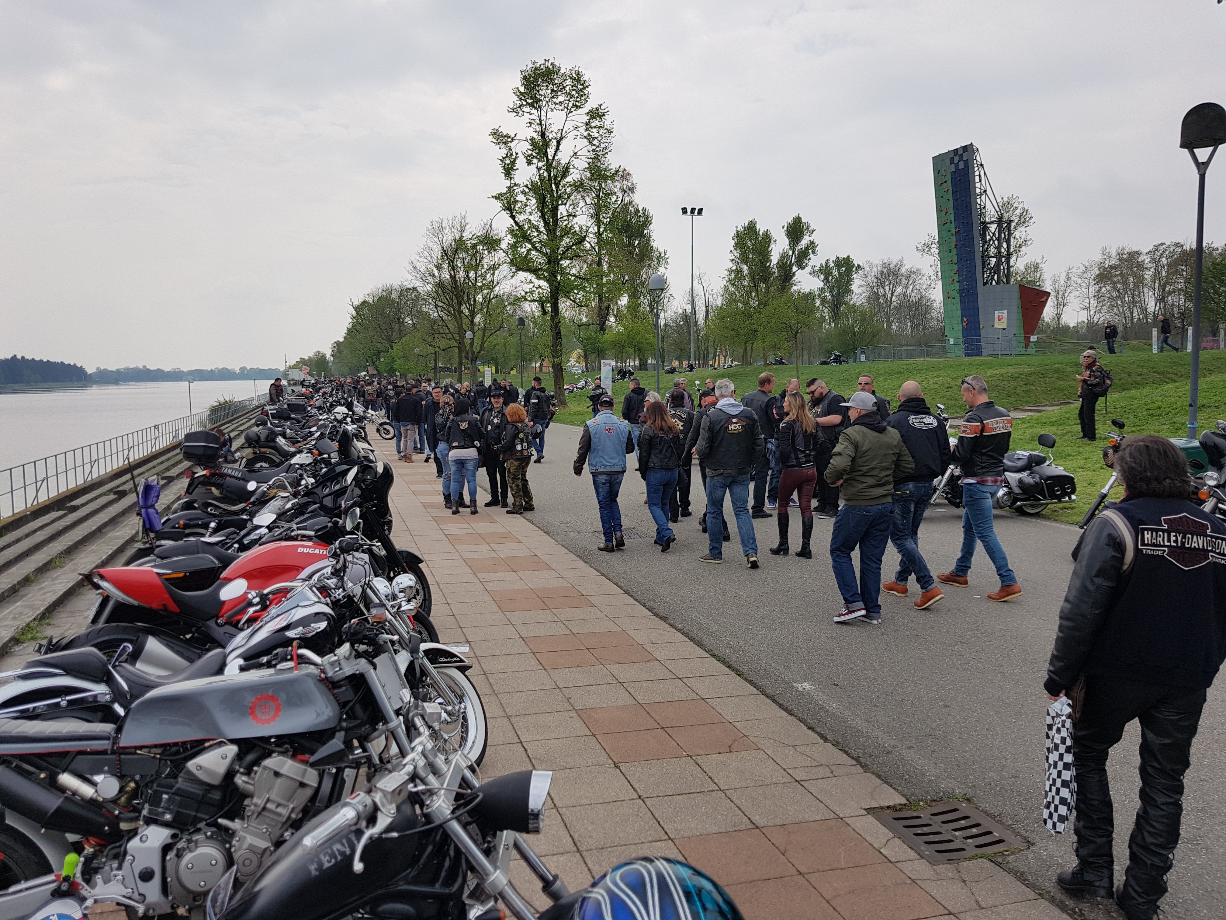 20190406_131113.jpg