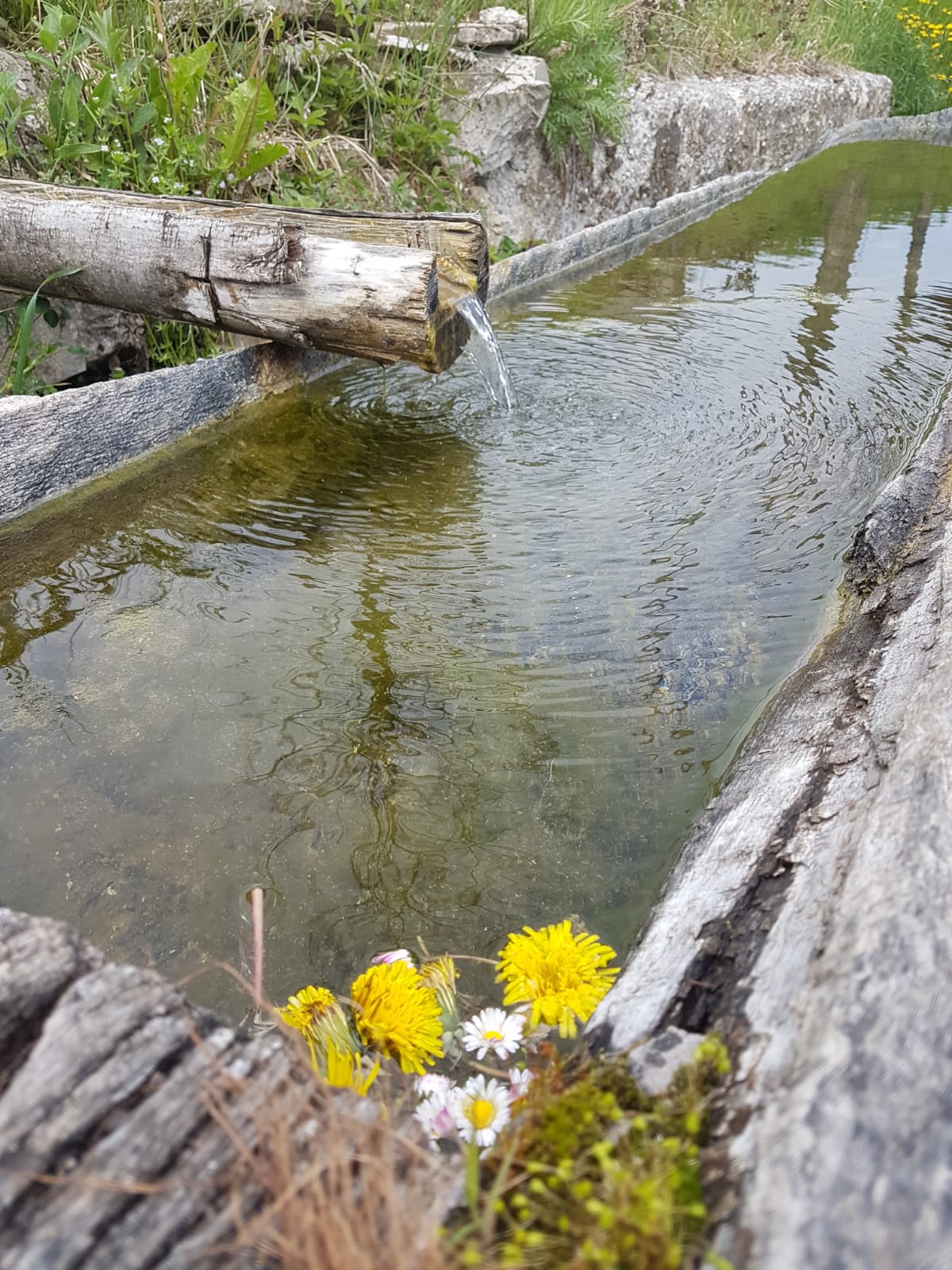 IMG-20190424-WA0018.jpg